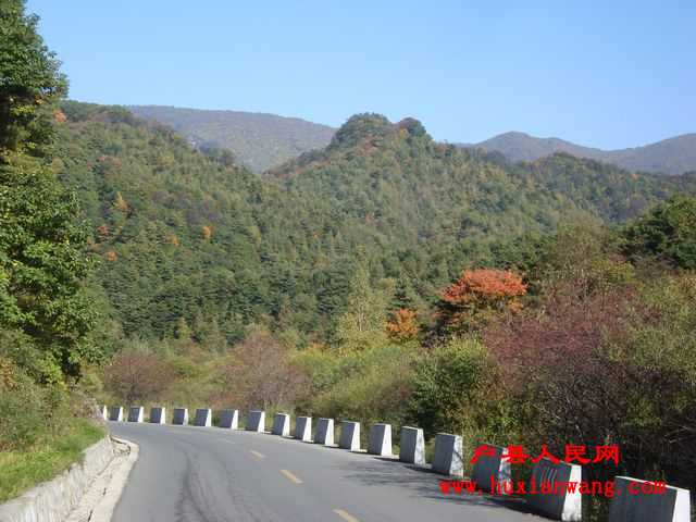 DSC06647.jpg