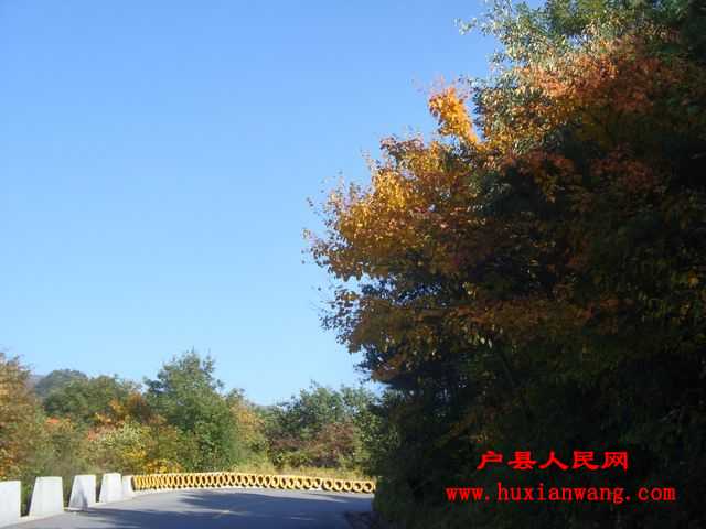 DSC06648.jpg