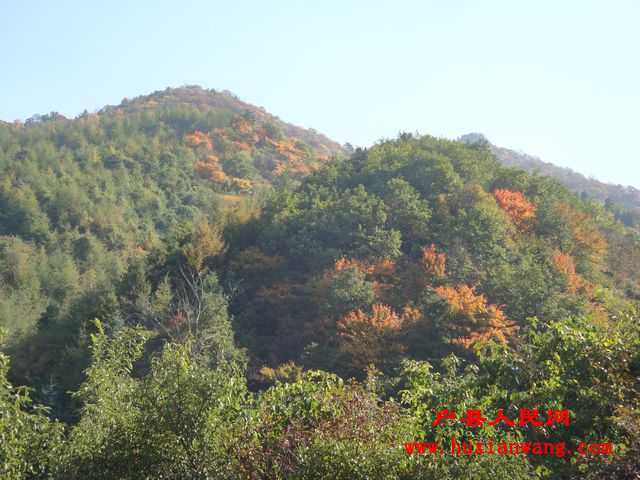 DSC06651.jpg