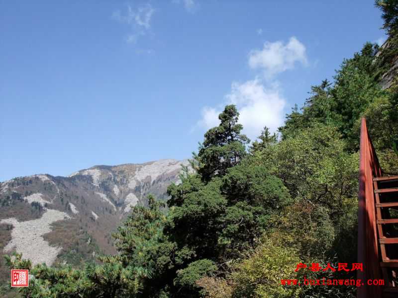 DSCF1114.jpg