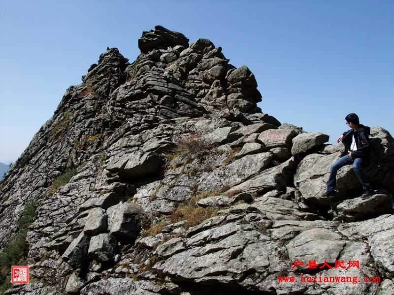 DSCF1131.jpg