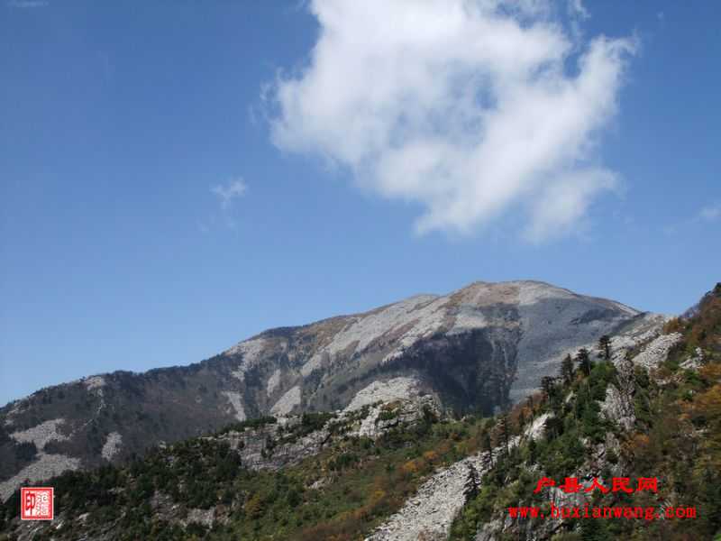 DSCF1177.jpg