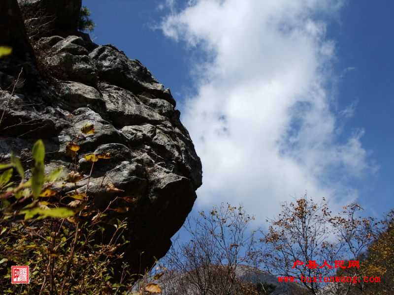 DSCF1191.jpg