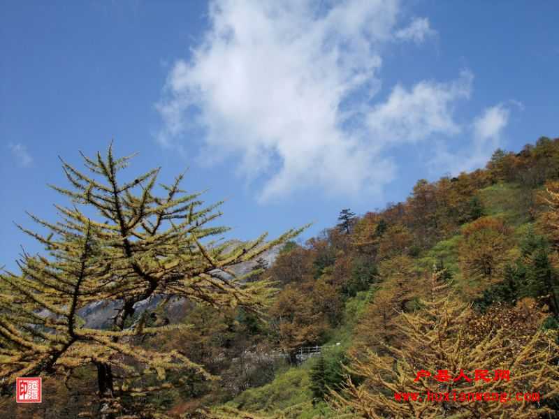DSCF1180.jpg