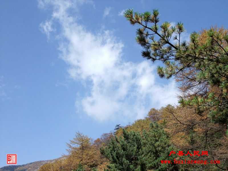 DSCF1182.jpg
