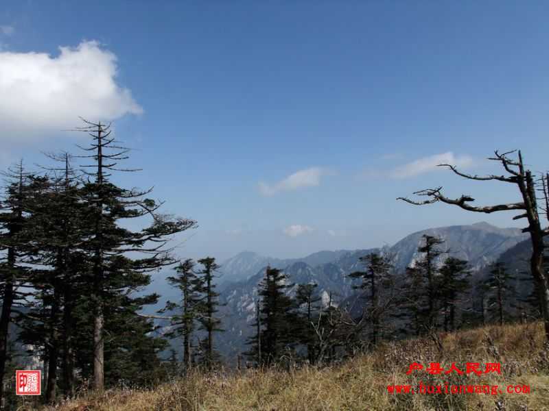 DSCF1242.jpg