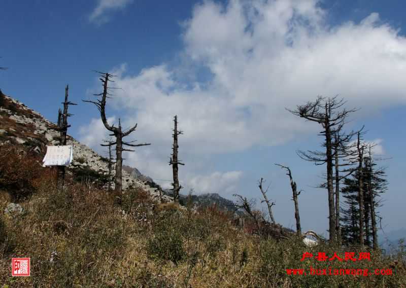 DSCF1245.jpg