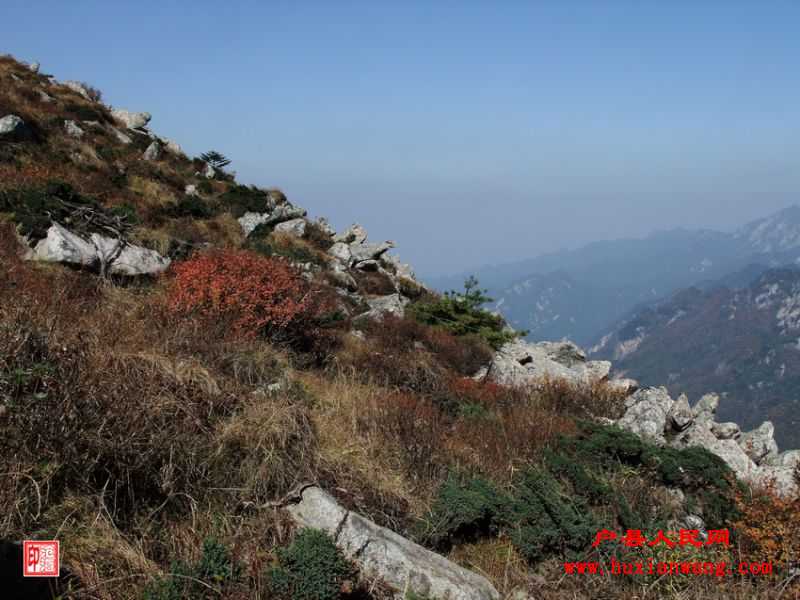 DSCF1261.jpg