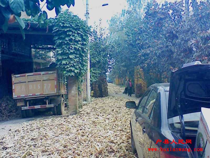 201110061342321.jpg