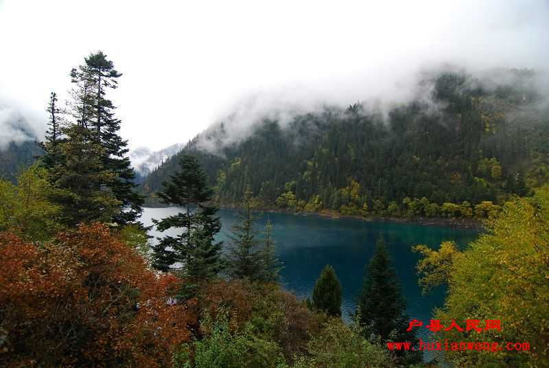 DSC_7959.JPG