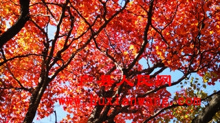 DSC05495.jpg