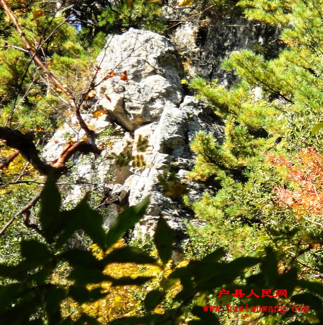 DSC05498.jpg