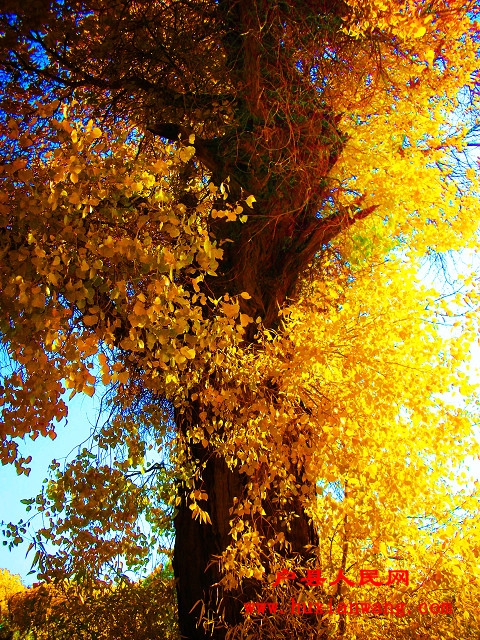 DSCN5551.JPG