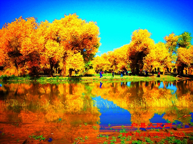 DSCN5563.JPG