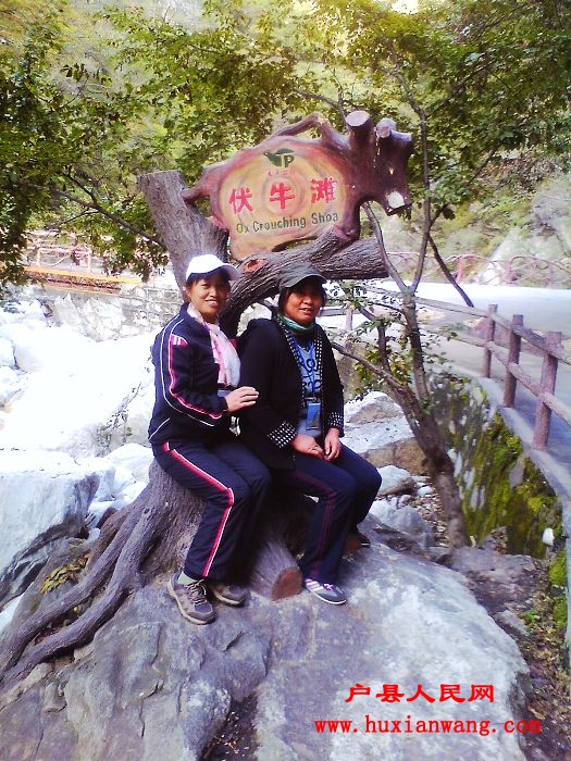 IMG1015090802.jpg