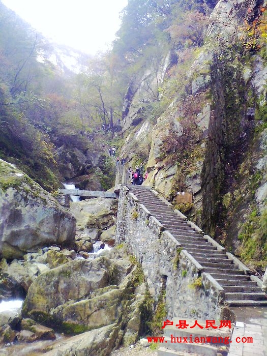 IMG1015094800.jpg