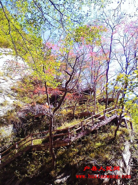 IMG1015105600.jpg