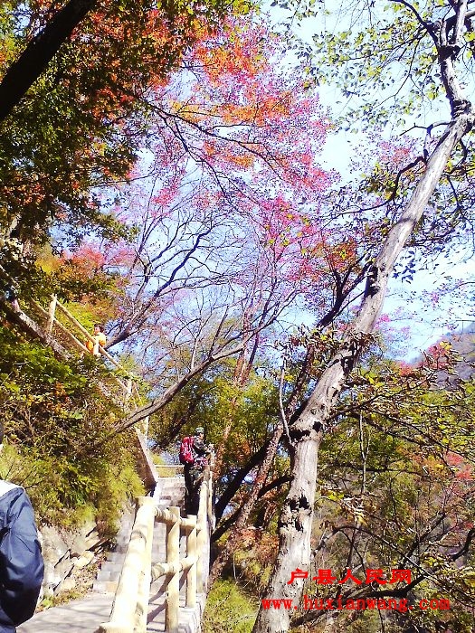 IMG1015125800.jpg