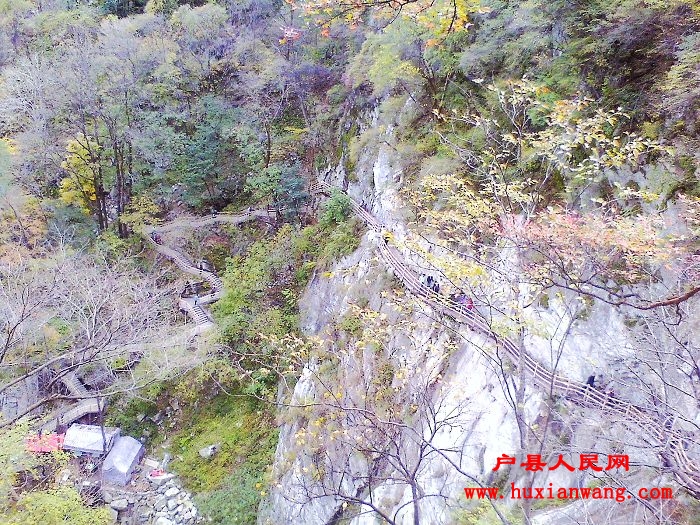 IMG1015130100.jpg