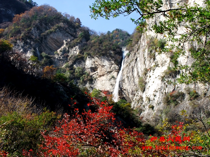 DSCF0120.jpg