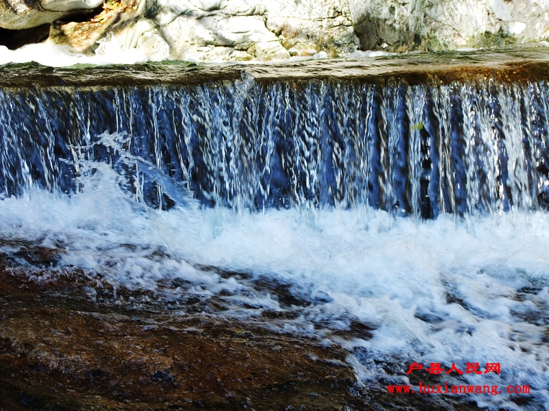 DSCF0130.jpg