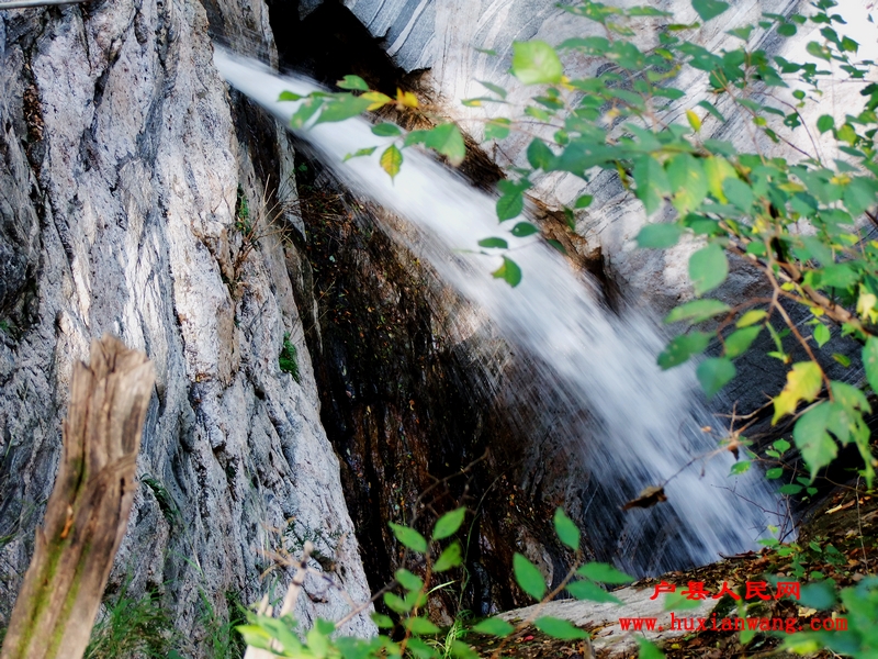 DSCF0178.jpg
