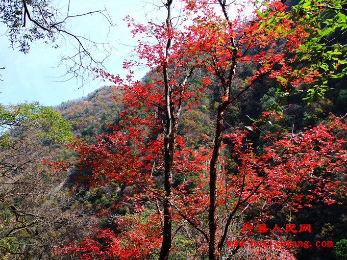 DSCF0162.jpg