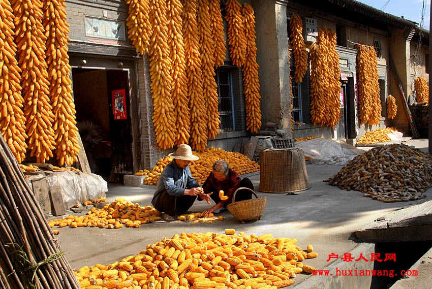 �ջ�Ľ��� (1).jpg