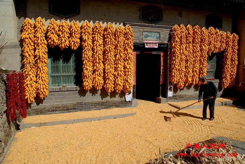 �ջ�Ľ��� (2).jpg