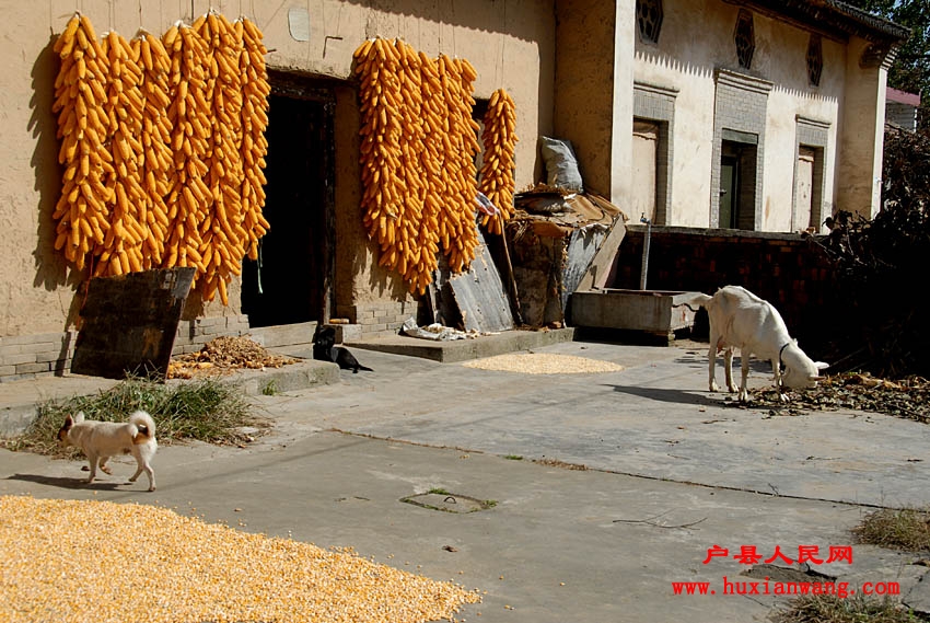 �ջ�Ľ��� (3).jpg