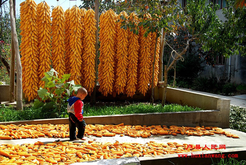 �ջ�Ľ��� (7).jpg