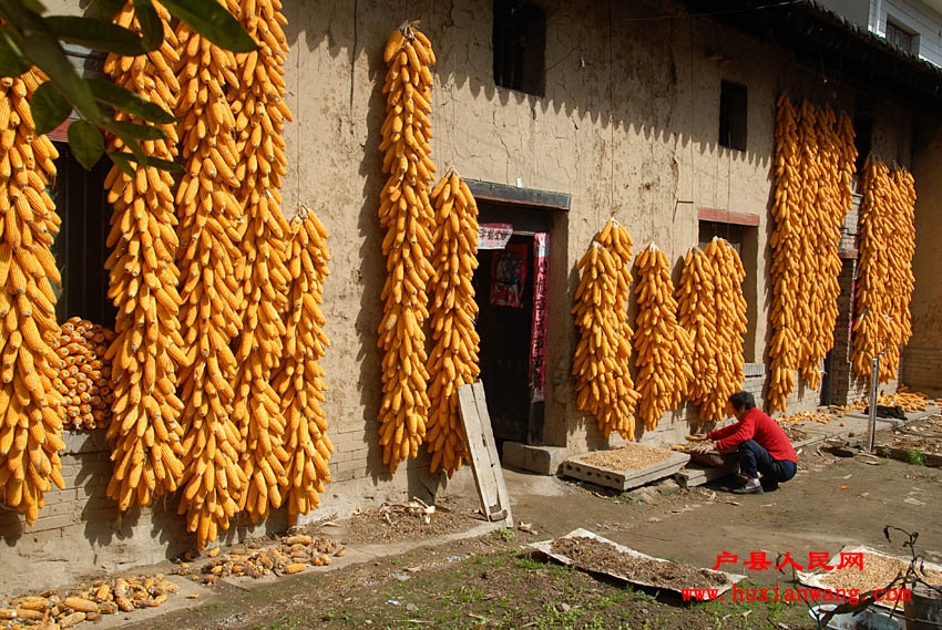 �ջ�Ľ��� (8).jpg