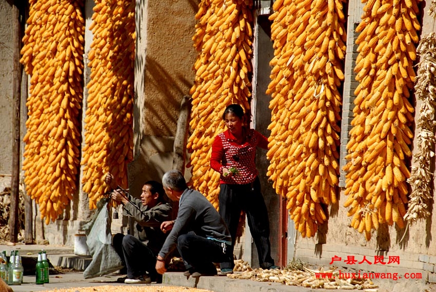 �ջ�Ľ��� (9).jpg