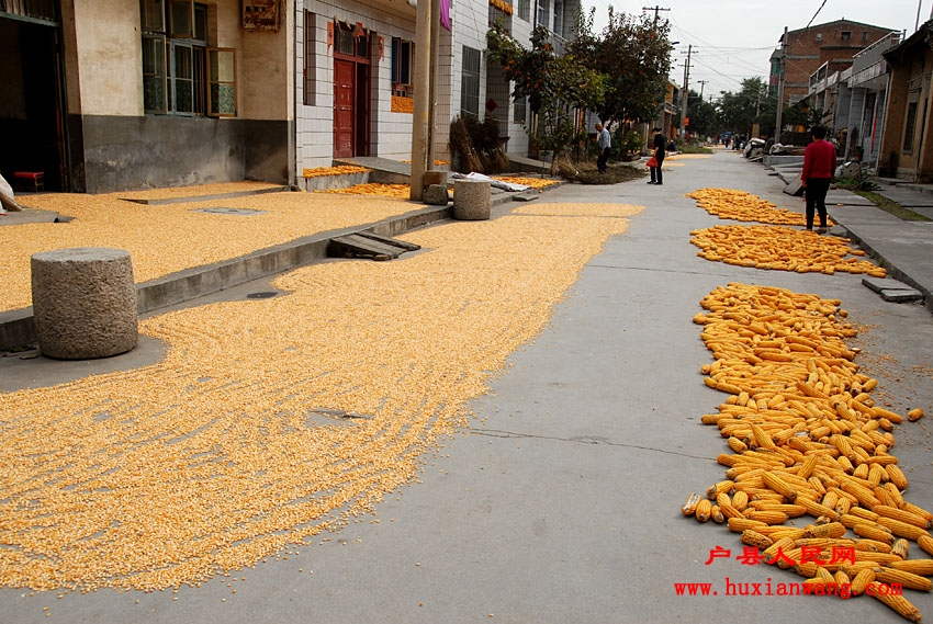 �ջ�Ľ��� (14).jpg