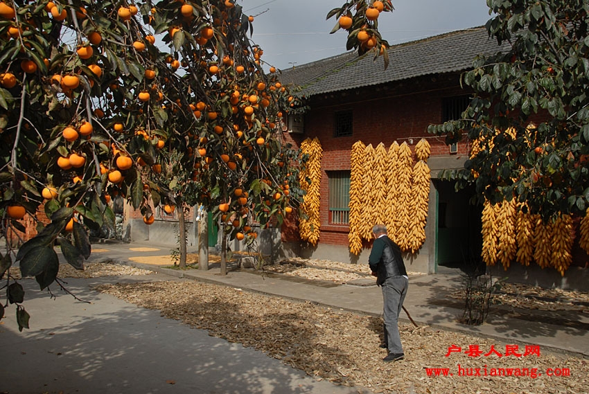 �ջ�Ľ��� (20).jpg