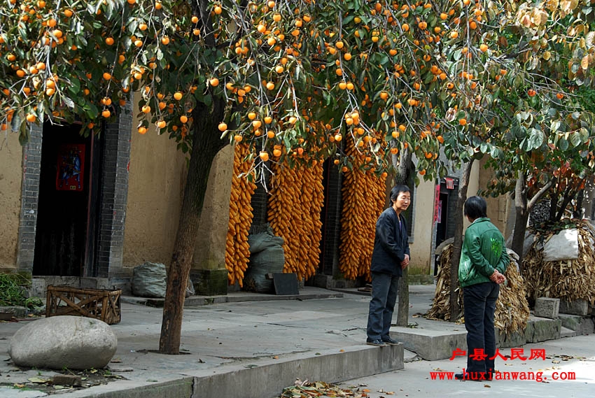 �ջ�Ľ��� (18).jpg