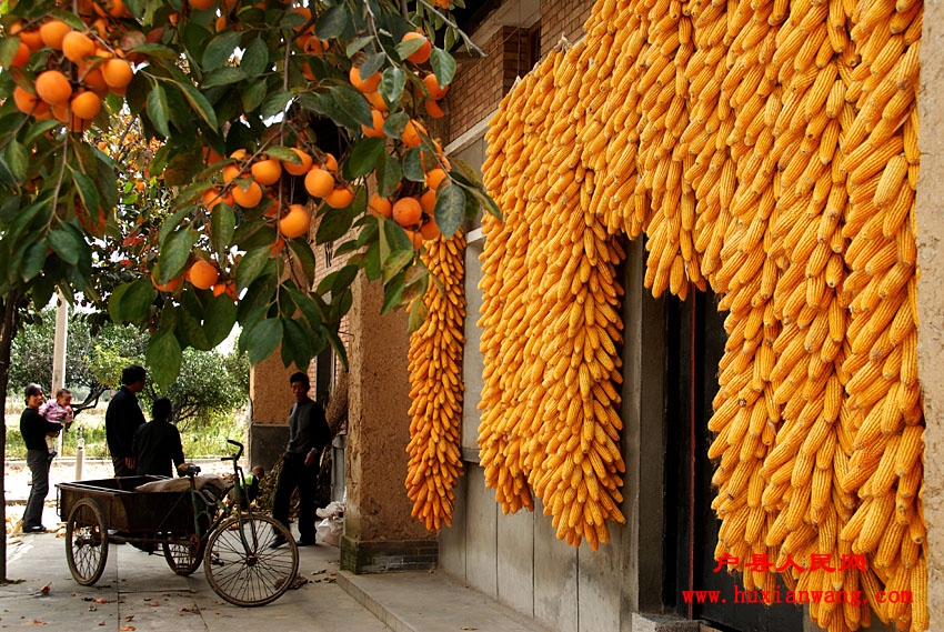 �ջ�Ľ��� (21).jpg