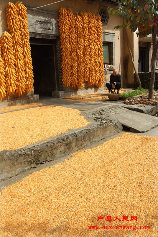 �ջ�Ľ��� (22).jpg