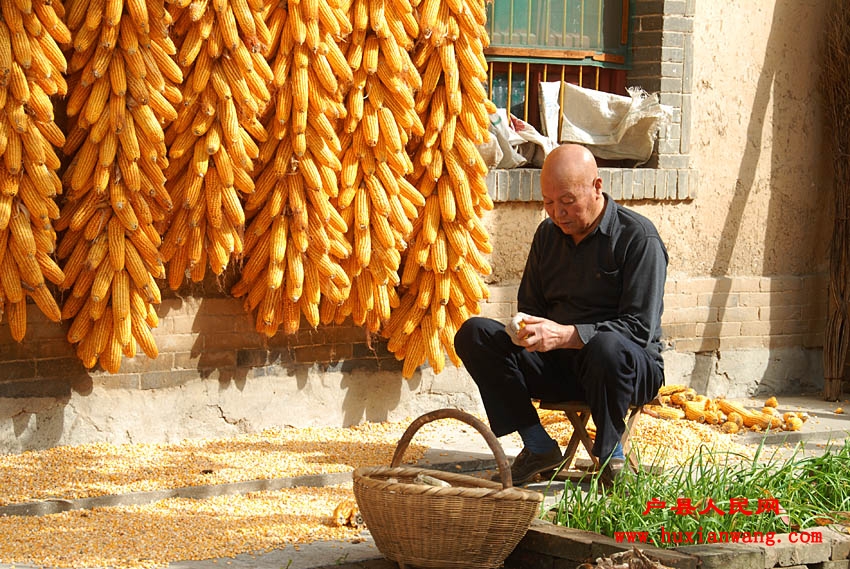 �ջ�Ľ��� (23).jpg