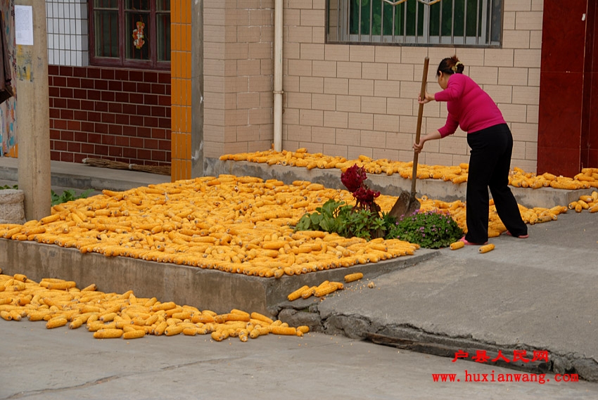 �ջ�Ľ��� (24).jpg