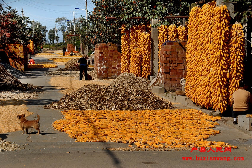 �ջ�Ľ��� (31).jpg