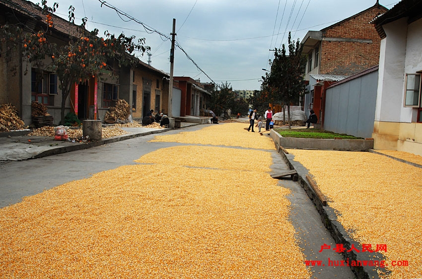 �ջ�Ľ��� (26).jpg