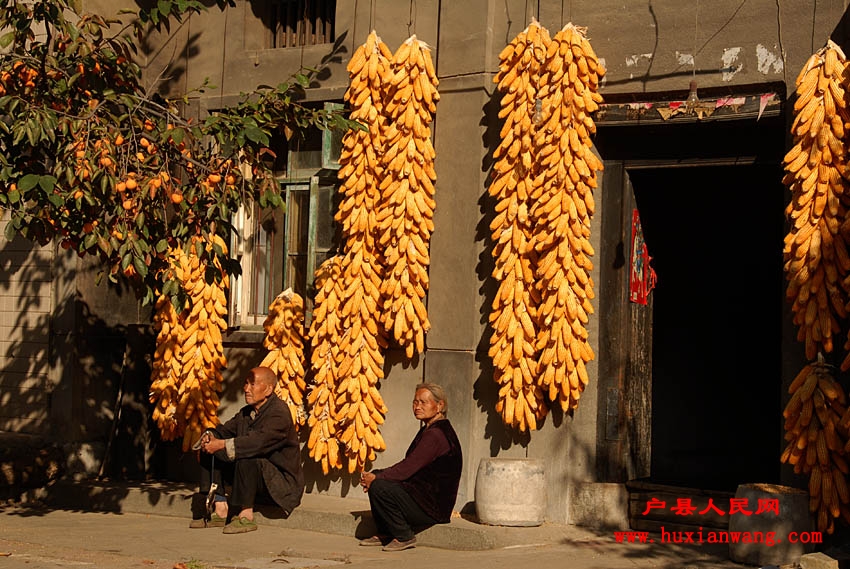 �ջ�Ľ��� (27).jpg