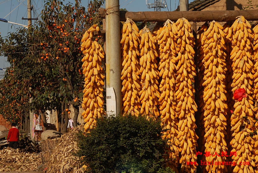 �ջ�Ľ��� (29).jpg