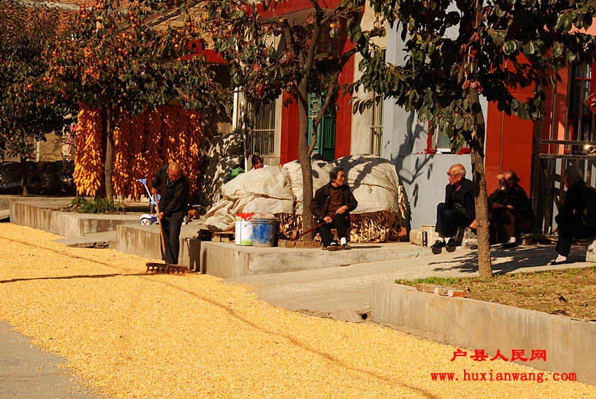 �ջ�Ľ��� (30).jpg