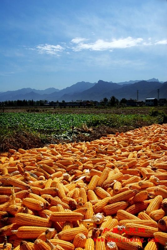 �ջ�Ľ��� (28).jpg