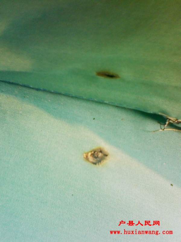201110211506181.jpg