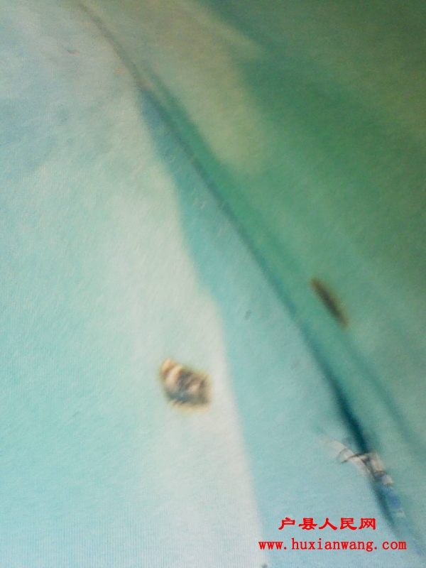201110211506261.jpg