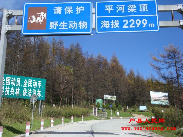 DSC04514.jpg