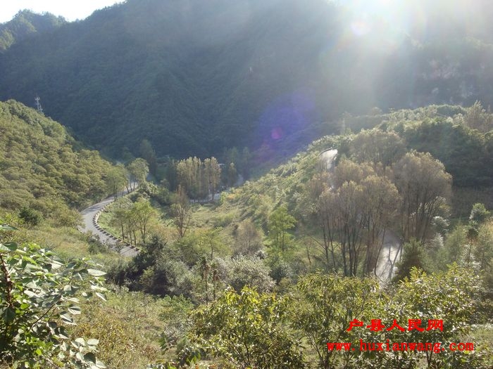 DSC04538.jpg